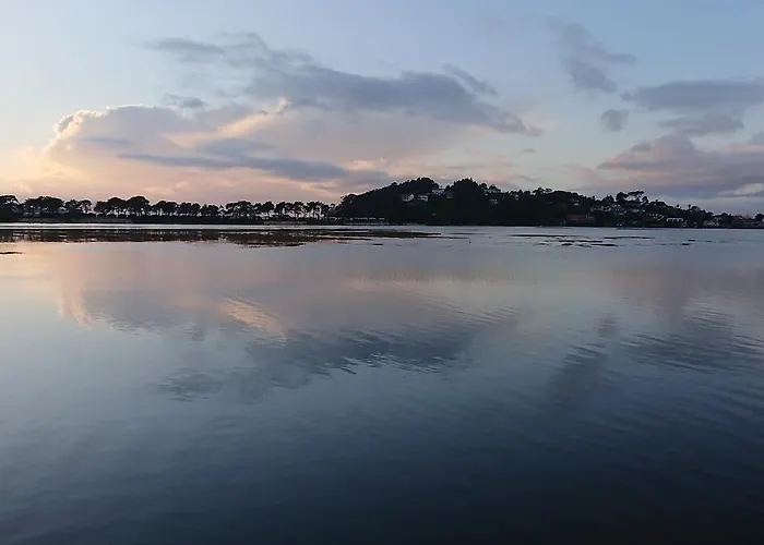 Avenida Сабарис